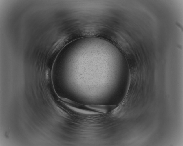 X0000091900166200709121505