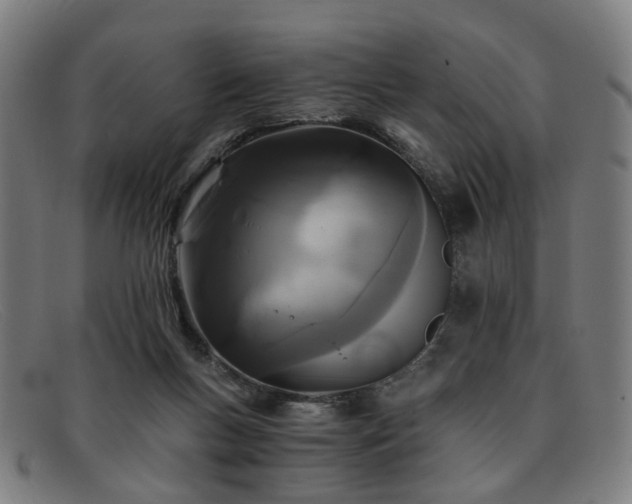 X0000091900167200709121505