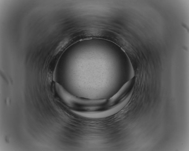 X0000091900168200709121505