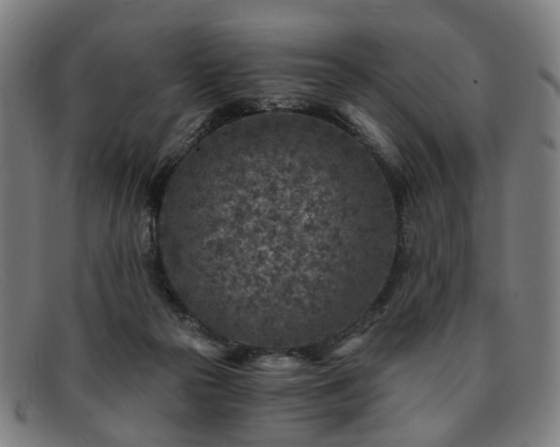 X0000091900169200709121505