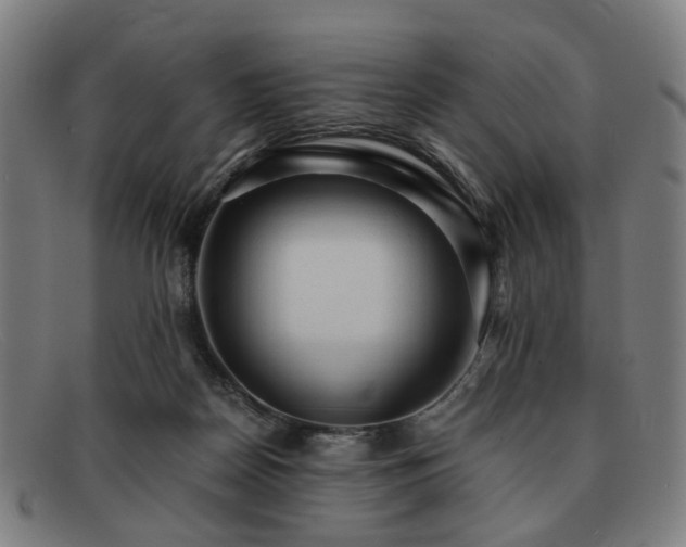 X0000091900170200709121505