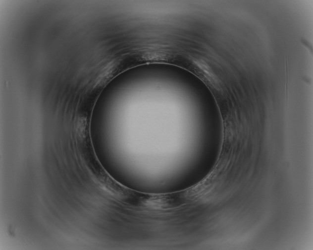 X0000091900171200709121505