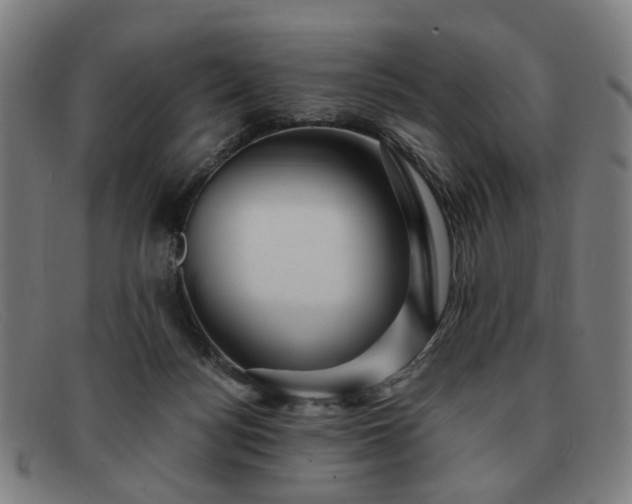 X0000091900172200709121505