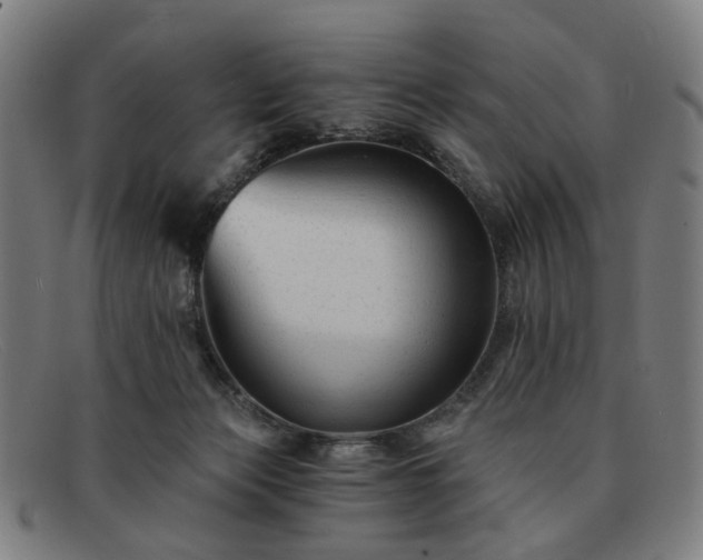 X0000091900173200709121505