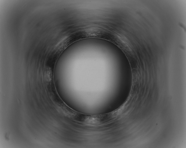 X0000091900174200709121505