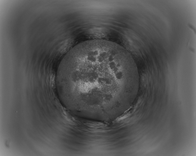 X0000091900177200709121505