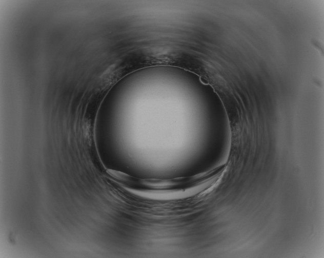 X0000091900178200709121505