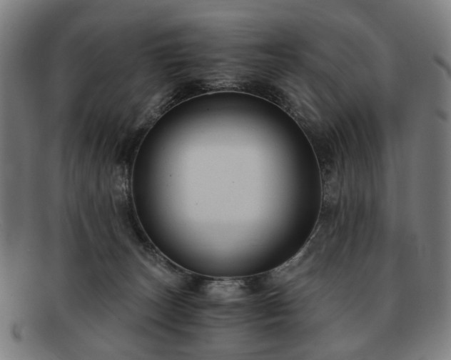 X0000091900179200709121505