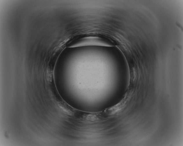 X0000091900180200709121505