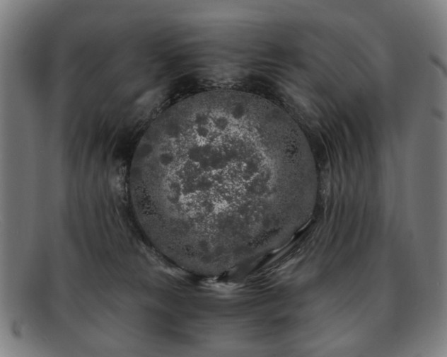 X0000091900181200709121505