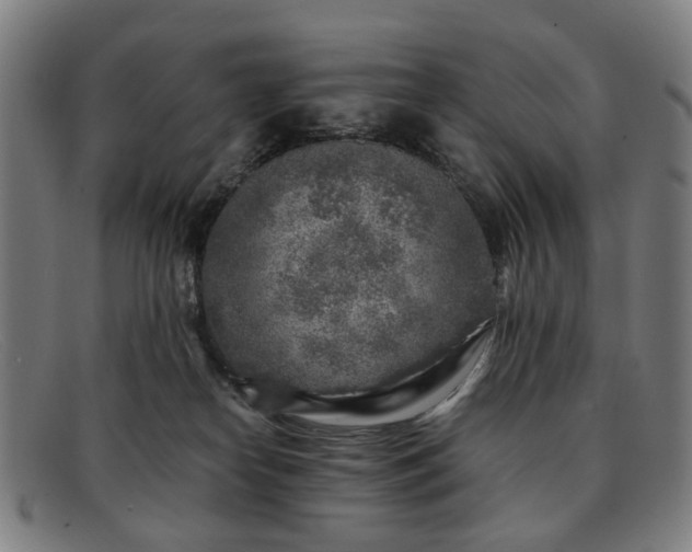 X0000091900182200709121505