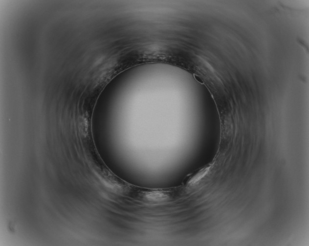 X0000091900183200709121505