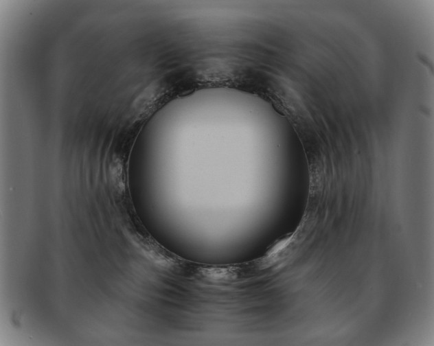 X0000091900187200709121506