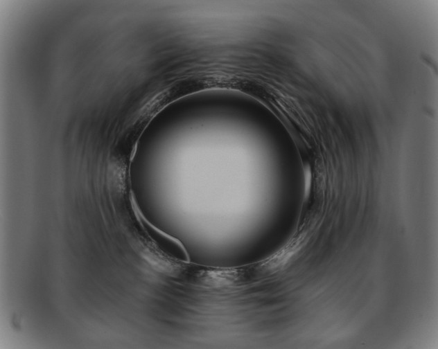 X0000091900188200709121506