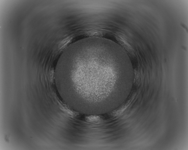 X0000091900189200709121506