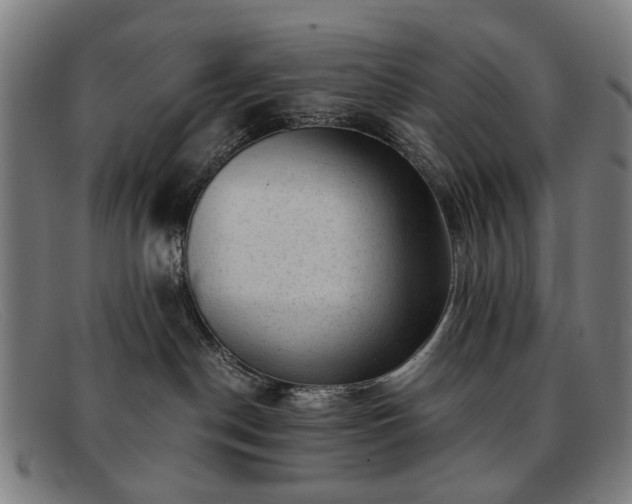 X0000091900190200709121506