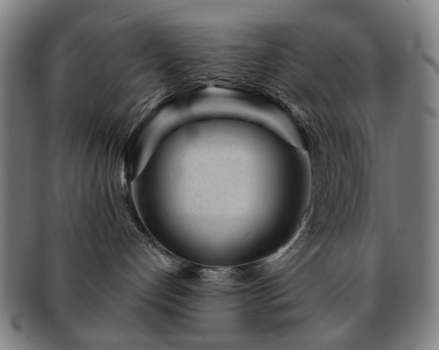 X0000091900192200709121506