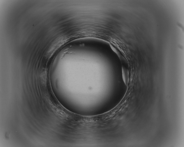 X0000091900194200709121505