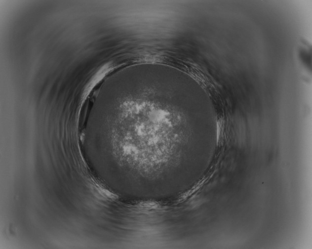 X0000091900195200709121505