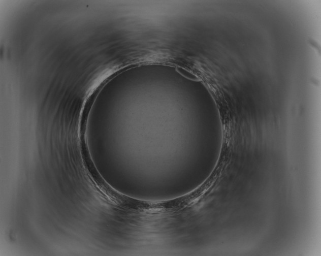 X0000091900196200709121505