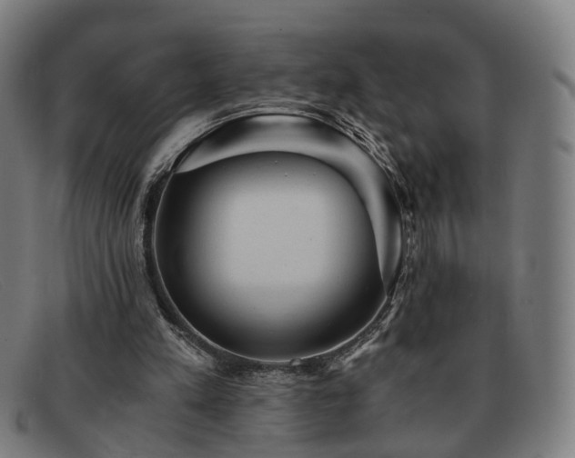 X0000091900197200709121505