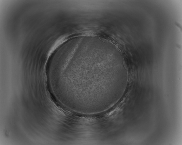 X0000091900198200709121505