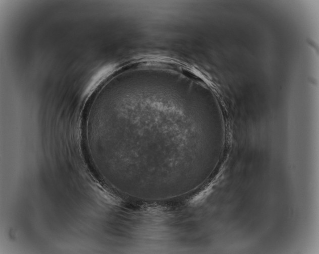 X0000091900199200709121505