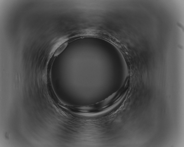 X0000091900200200709121505