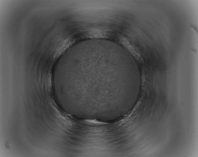 X0000091900202200709121505