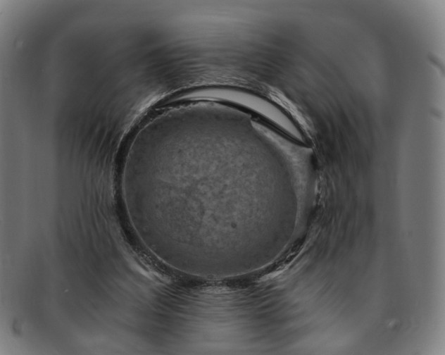 X0000091900203200709121505