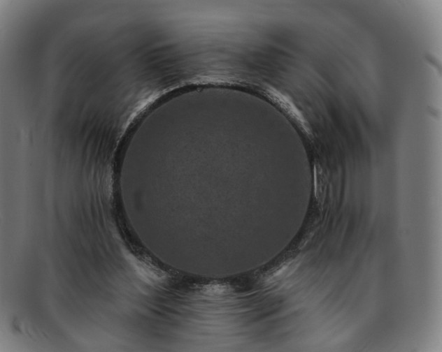 X0000091900204200709121505