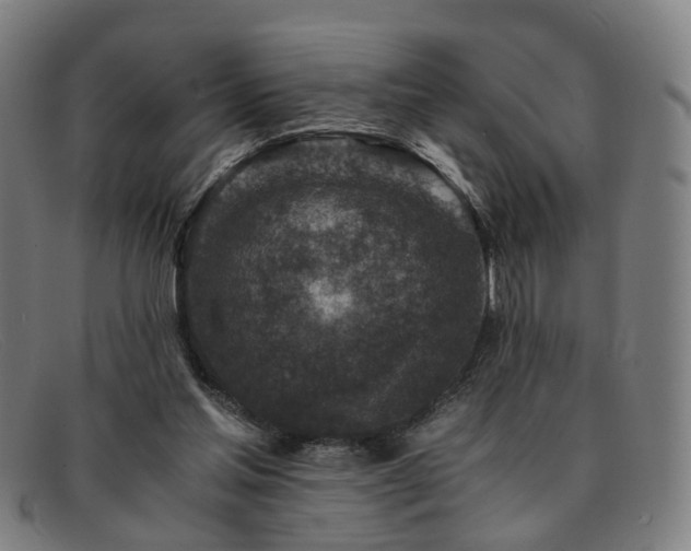 X0000091900205200709121505