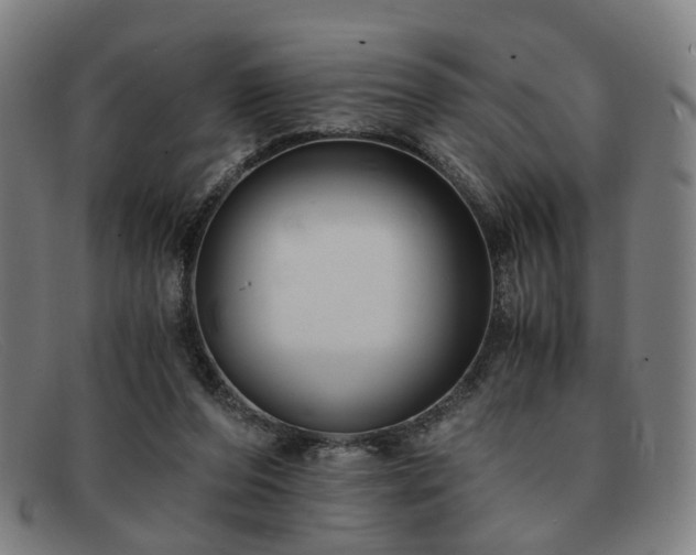 X0000091900208200709121505