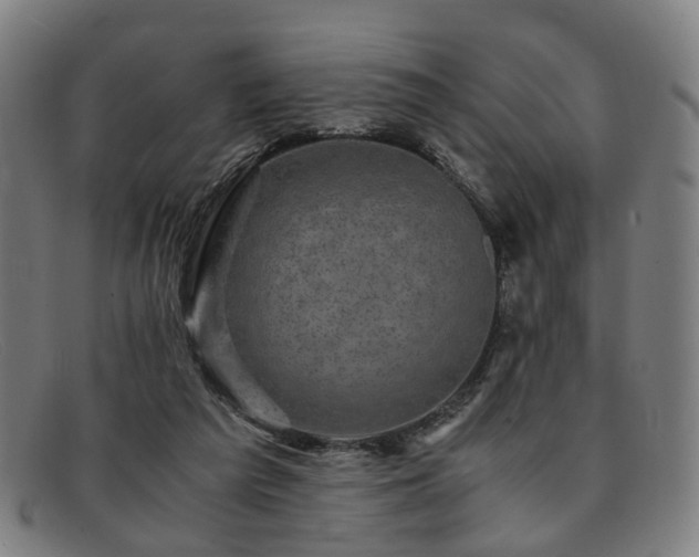 X0000091900209200709121505