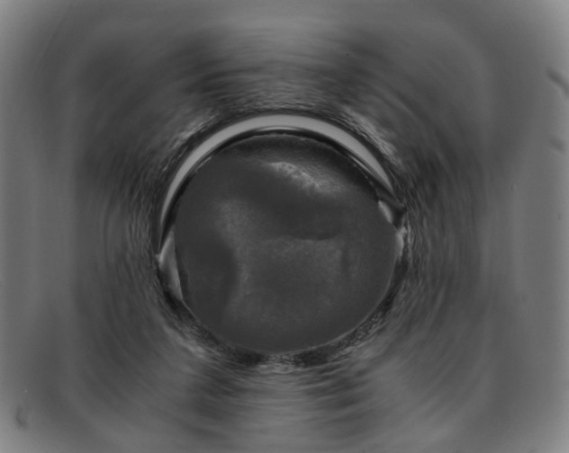 X0000091900211200709121505