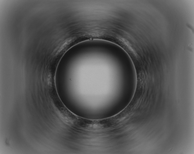 X0000091900212200709121505