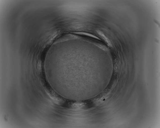 X0000091900213200709121505