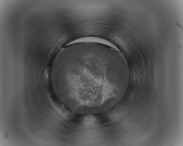 X0000091900214200709121505