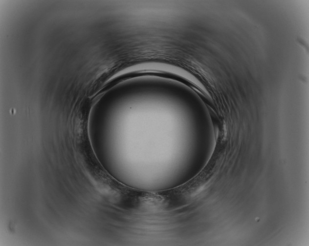 X0000091900215200709121505