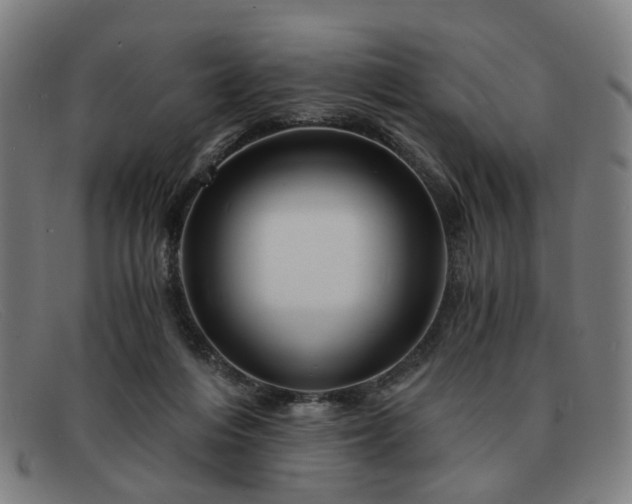 X0000091900216200709121505