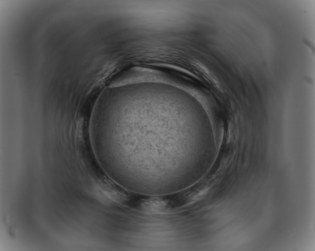 X0000091900217200709121505