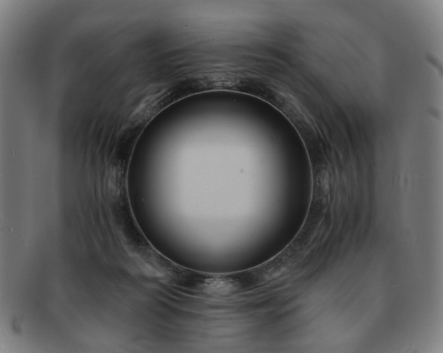 X0000091900218200709121505