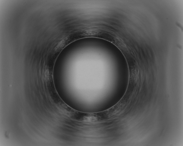 X0000091900220200709121505