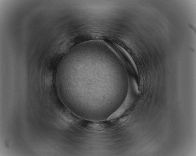 X0000091900221200709121505