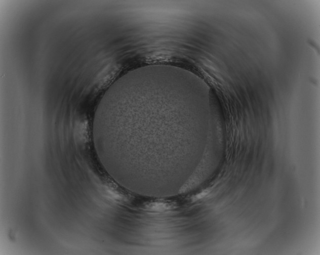 X0000091900224200709121505