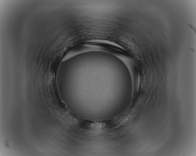 X0000091900225200709121505