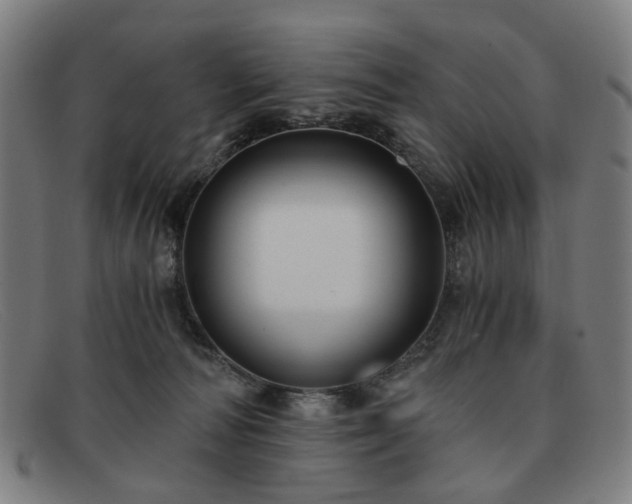 X0000091900226200709121505