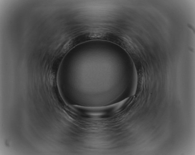 X0000091900227200709121505