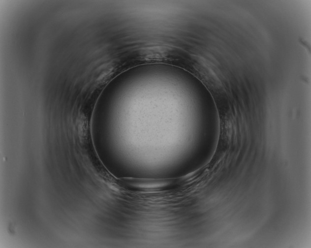 X0000091900228200709121505