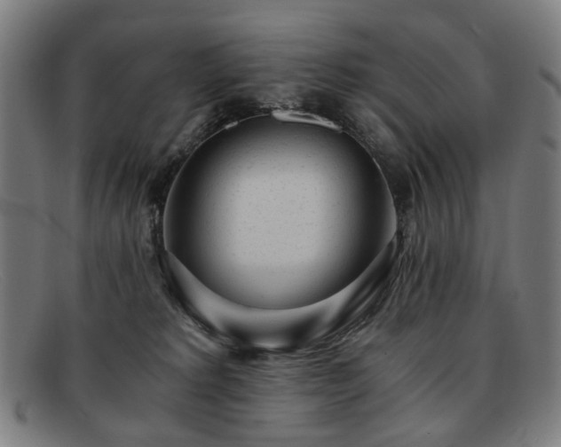 X0000091900229200709121505